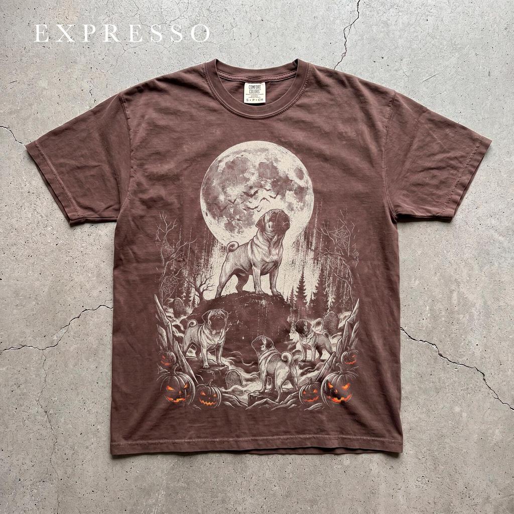 Halloween Moon Pug Tee, Jack O Lantern Pumpkin Patch, Spooky Season Trick or Treat, Vintage Bootleg Comfort Colors Fall Graphic