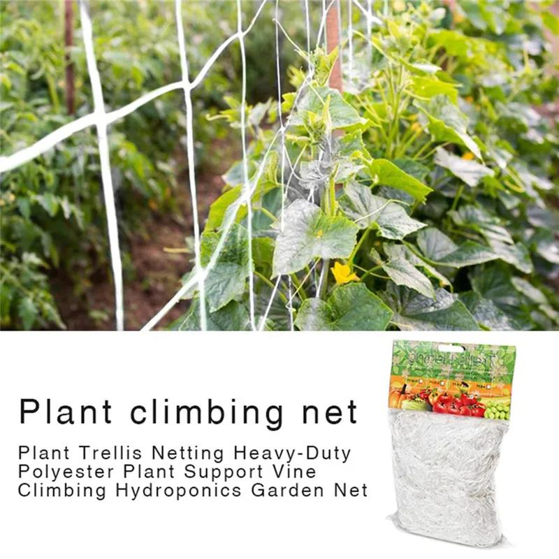 Ready Stocked Plant Climbing Net Mesh Loofah Netting for Morning Glory Vine Flowers Garden Plants Cucumber Grow HolderHot Sell