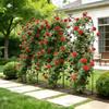 Garden Trellis, 220 X 52.5 Cm Rose Trellis, 4 Packs Garden Flower Rose Trellises with Powder-Coated Finish & Convenient Locking Design, Plant Support