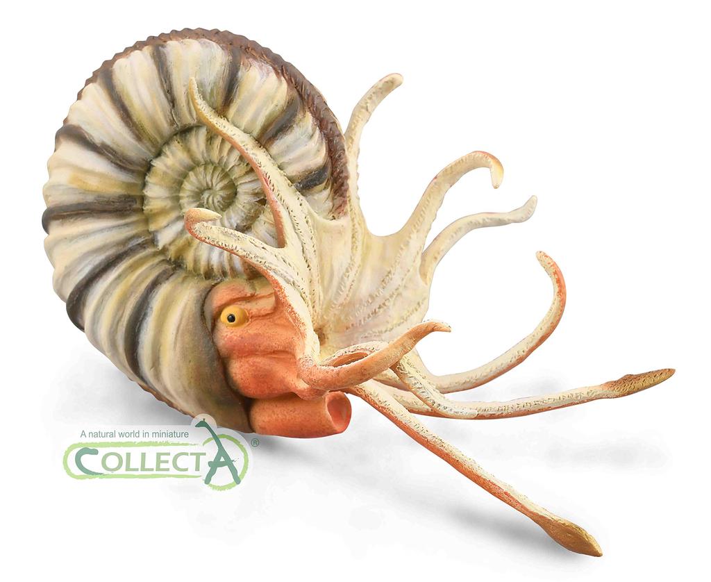 COLLECTA Dinosaur Figure Preeuroceras Ammonite 88902