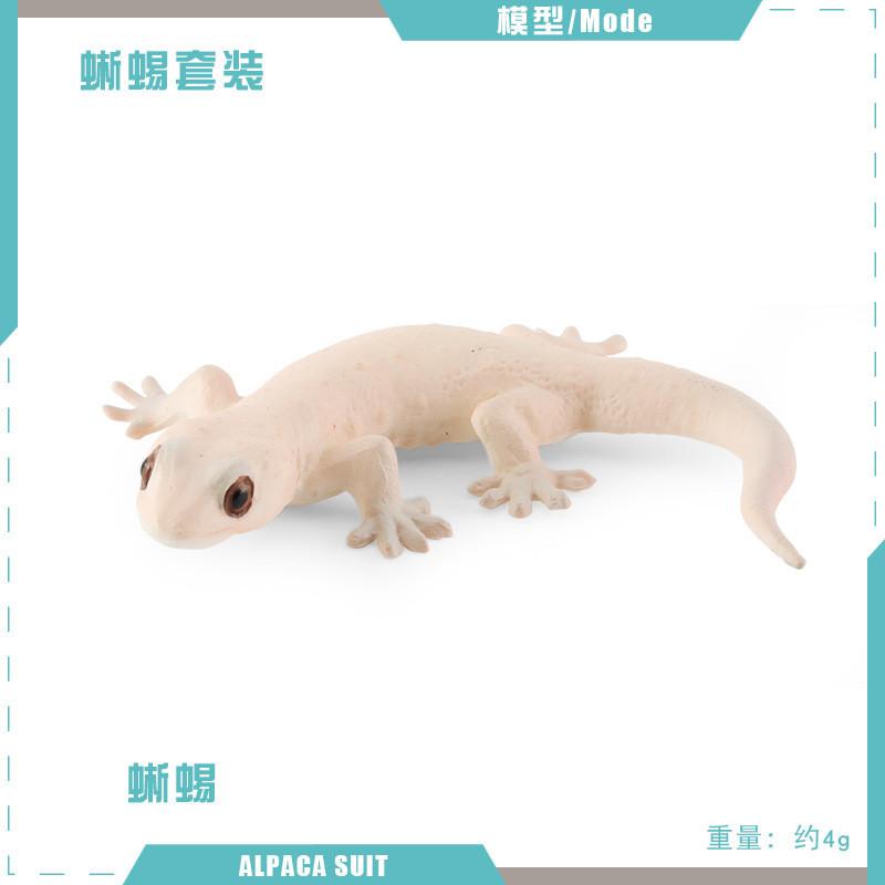 Lifelike Static Reptile Model Of Chameleon And Gecko Perfect For Home Decoration