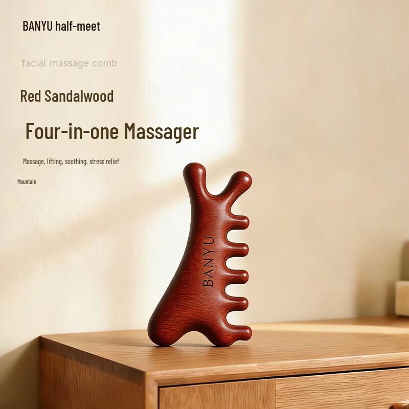 

Red Sandalwood 4-in-1 Head & Guasha Massager Comb