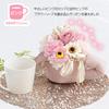 Preserved Flower Fluffy Cup, Orange (Made in Japan by a Floral Decorator) Wrapped in a Clear Box, Perfect as a Gift or Present