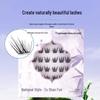 Adhesive-Free Tushan Fox Eyelashes: Realistic Chinese Camera-Ready Beginner Segmented Upper Lashes.