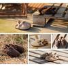 Autumn Winter New Kids Cork Sandals - Suede Lined Warm Sandals for Boys & Girls, Outdoor Wear Non-Slip Children's Footwear KWN