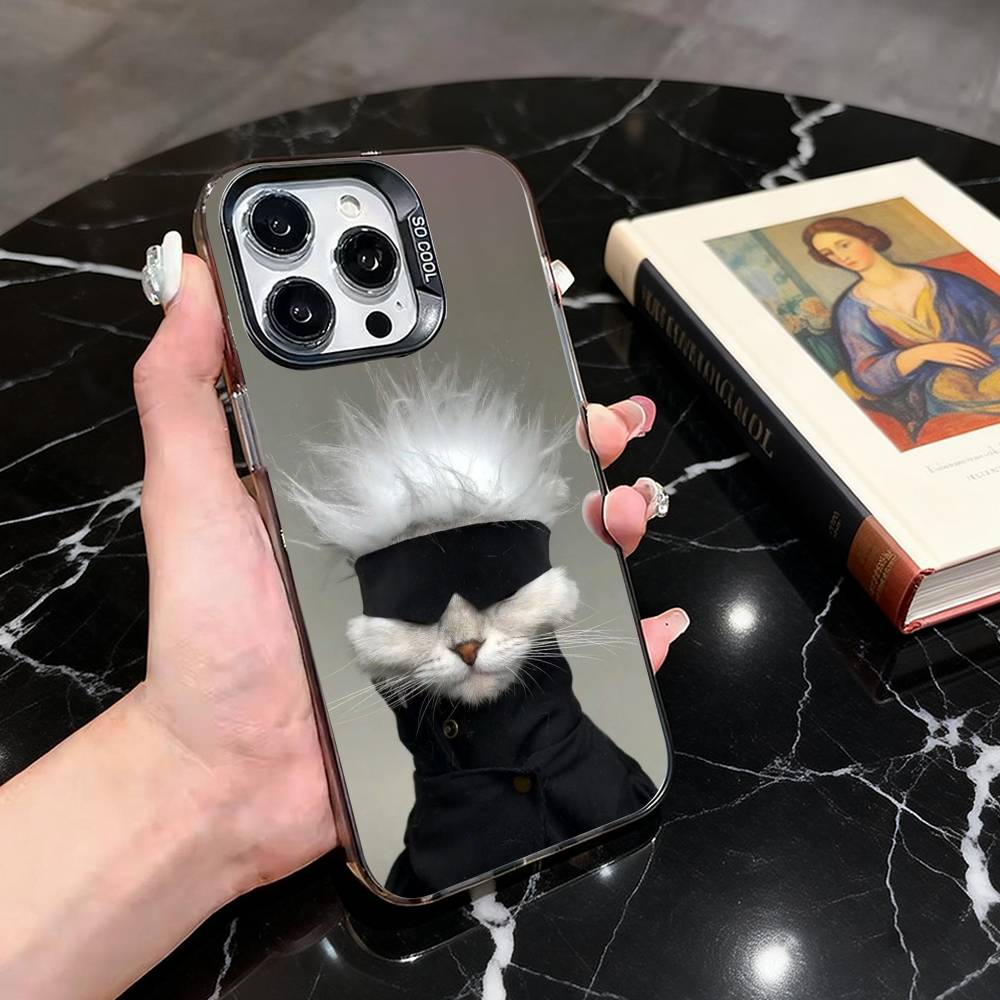 

Funny Cat Phone Case For iPhone 17,16,15,14,13,12,11 Plus,Pro Max,XS,Colorful Silver Black Cover iPhone15promax
