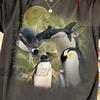 Three Penguin Retro Graphic T-shirts, Vintage Comfort Colors® Penguin Moon Tshirt, Penguin Lovers, Funny Penguin Tee, Penguin Tee