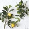Green Leaves Artificial Lemon Branch Plastic Fruit Handmade Fake Fruit Props Realistic Lifelike Simulation Fruit Tree