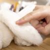 Cute Plush Forest Animal Pencil Bags Creative Kawaii Stationery Storage Bag For Kids Great Gift Pencil Case