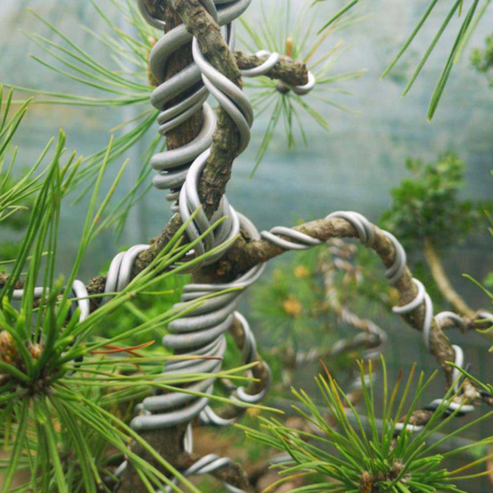 Plant Modelling Tree Styling Orchard Garden Supplies Fastener Tool Training Wire Bonsai Wires