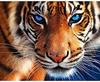 Diamond Paint Scenery Diamond Painting Full Embroidery Kit Diamond Painting Full Drill Round