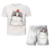 Neonati maschi Abbigliamento Animali gatto 3D T-shirt Set Estate Bambini Abbigliamento casual Set di cartoni animati per ragazzi Ragazze 1-14 anni Vestito per bambini