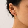 Starfish Pearl and Stainless Steel Earrings Set: Luxury Titanium Steel Earrings for Women