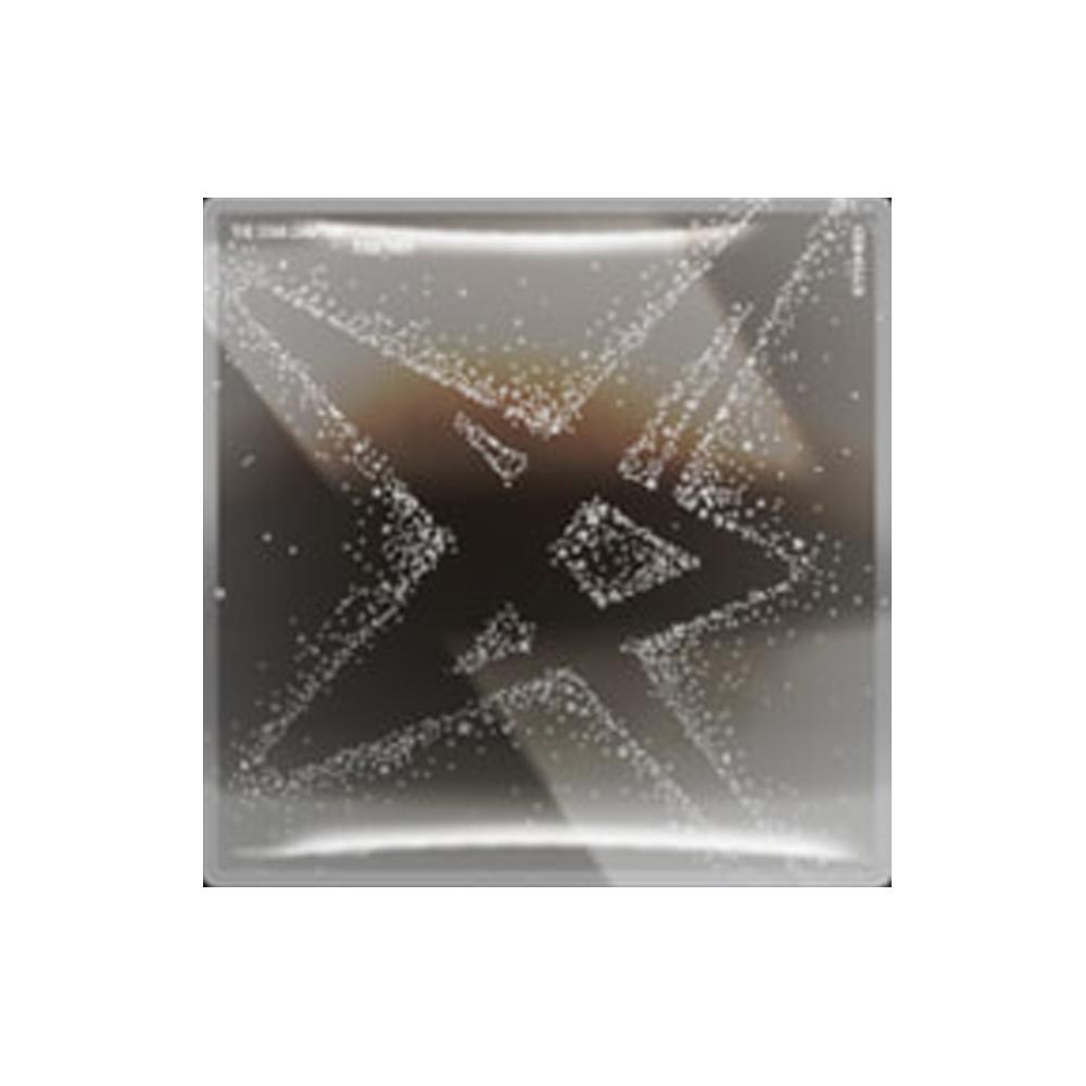 TOMORROW X TOGETHER - Das Star-Kapitel: ZUSAMMEN