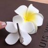 Fiori di Plumeria Plastica Bohemien Frangipani Fermaglio per Capelli Fermagli da Sposa Accessori da Spiaggia Regalo per Ragazze