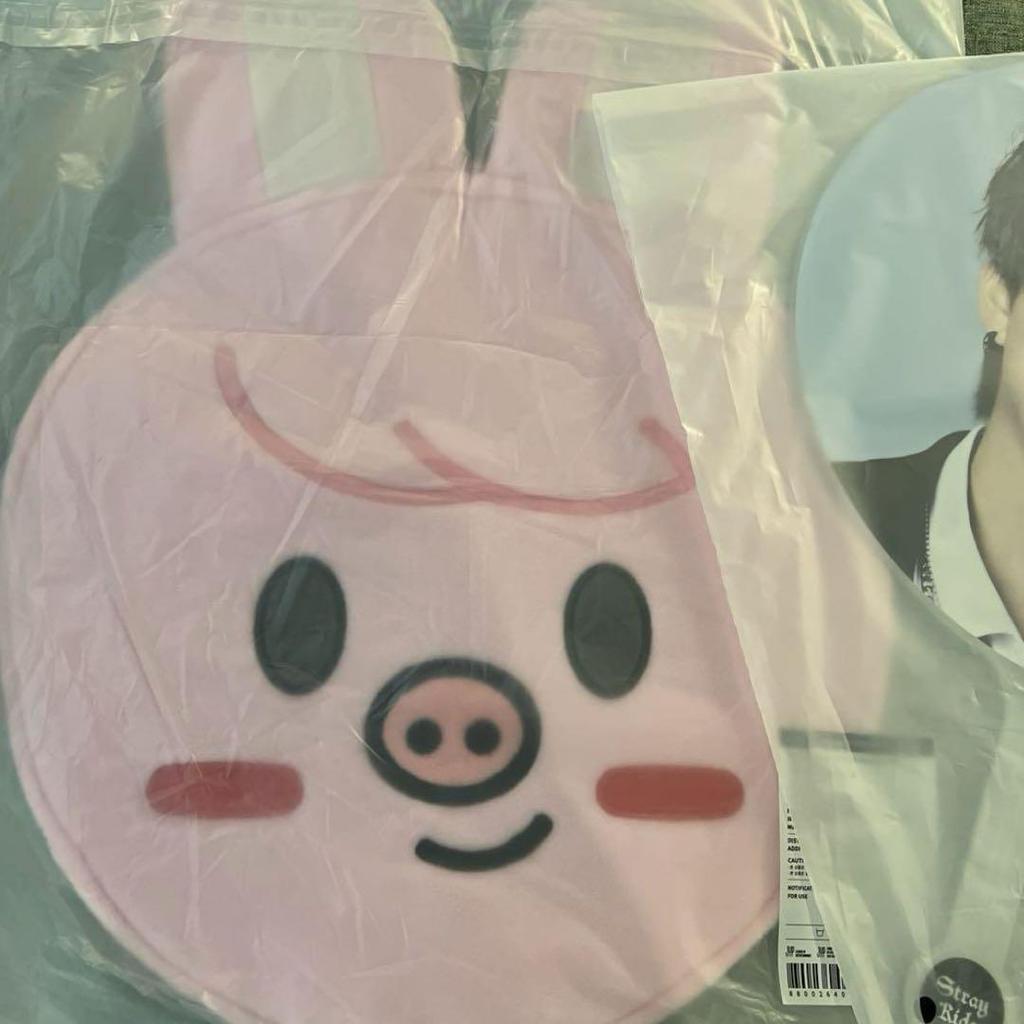 [USED] Stray Kids Changbin ATE Seoul Con Image Picket