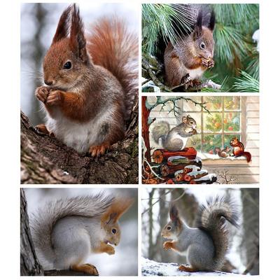 5D DIY Diamond Painting Wood Squirrel Diamond Mosaic Diamond Embroidery Full Set Cross Stitch Kits Home Decor Gifts
