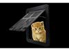 New Universal Pet Screen Door with Entry/Exit Control – Anti-Bite Design for Cats and Dogs