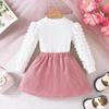 Girls' Bubble Sleeve Top & Bow Skirt 2Pcs Outfit