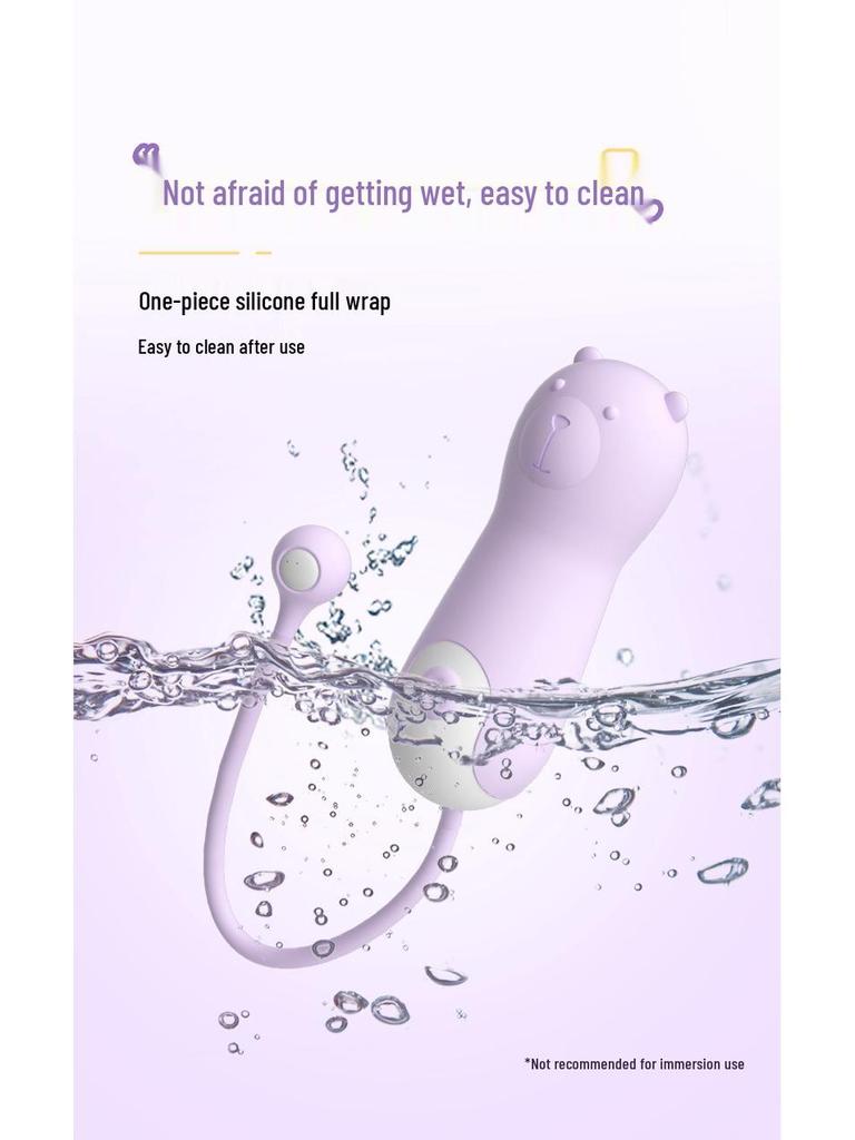 Lelala Love Egg: 10-Mode USB Rechargeable Internal Vibrator for Women