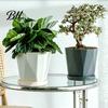 Contemporary Flower Pot Plant with Drainage Holes Decorative Planter Matching Saucer Modern for Indoor Outdoor Use Pothos Aloe