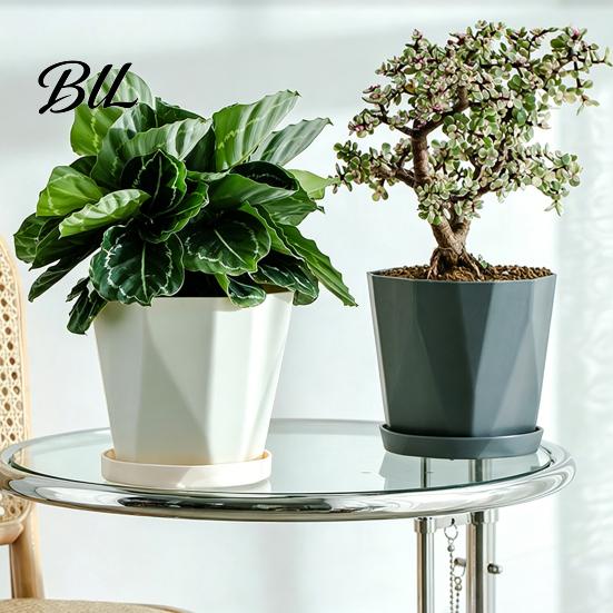 Contemporary Flower Pot Plant with Drainage Holes Decorative Planter Matching Saucer Modern for Indoor Outdoor Use Pothos Aloe