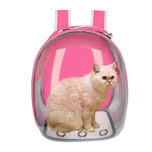 cat bolsa bubble