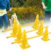 Dog Agility Hurdle Cone Set and Pole for Exercise Jumps Soccer Football