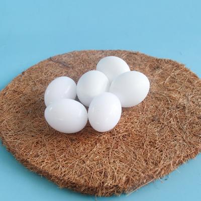 6pcs White Solid Plastic Pigeon Dove Eggs Dummy Eggs Improve Laying Survival Rate