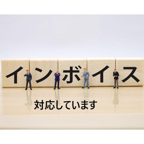 [.co.jp Exclusive] 16-Line Green Laser Level + 2 Batteries, Remote Control, Smartphone Operation, Japanese Installation (Note: Laser Class: Class 2, 4