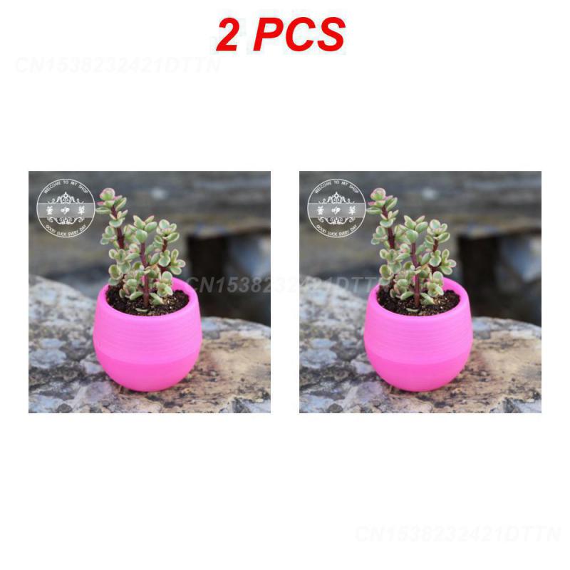 1/2/3PCS Plastic Flowerpot Small Green Plant Flowerpot Plant Desktop Potted Solid Color Mud Holder 2025 Succulent Plant Pot