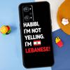 Lebanese Lebanon Flag For Realme 11 10 12 13 14 Pro Plus GT 5 6 6T GT7 Pro C61 C53 C51 C21Y C25S C55 C67 C75 Case