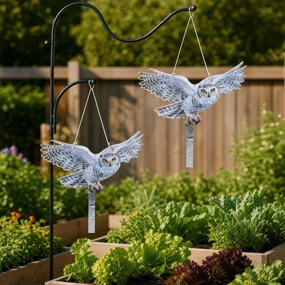 2D Flat Fake Bird Scare Device Acrylic Bird Repeller Bird Repel Owl Scarecrow Garden Decoration