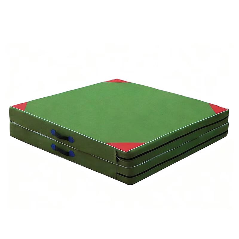 Tiejiawangguo Professional Gymnastics & Fitness Mat