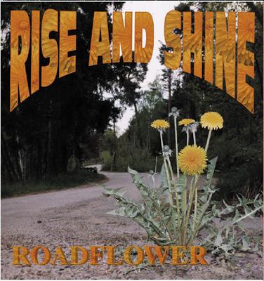 CD RISE & SHINE - Roadflower BWRCD0372 Black Widow Rec 1999 Italy Rap & Hip-Hop/R&B Used