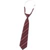 Red Stripe No-Tie Bachelor Gown & Hand-Tied Graduation Tie - Women's Academy JK Style