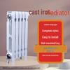 Lixing TZY2-6-8/62B Cast Iron Radiator