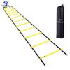 Agility Training Ladder