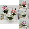 Butterfly Orchid Artificial Plant Indoor Decor With Plastic Material For Home Living Room Accent