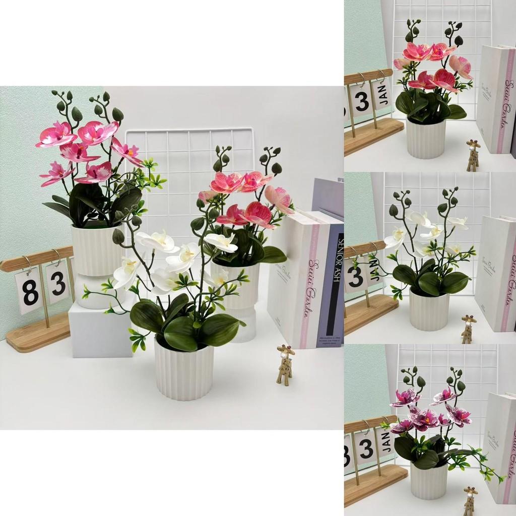 Butterfly Orchid Artificial Plant Indoor Decor With Plastic Material For Home Living Room Accent