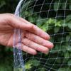 Drawstring Bird Protection Net White Mesh Fruit Tree Netting New Anti Bird Net  Garden Protection