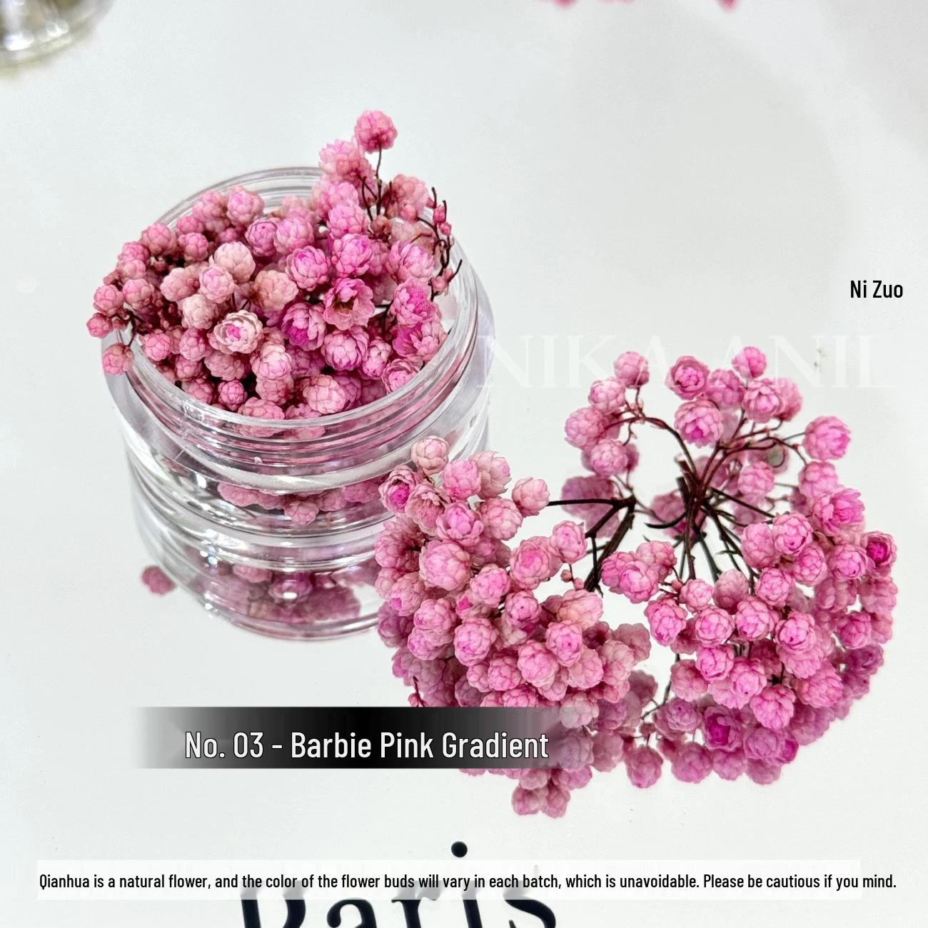 Dried Floral Nail Art Decorations - Small Bud Mix for DIY Nail Design