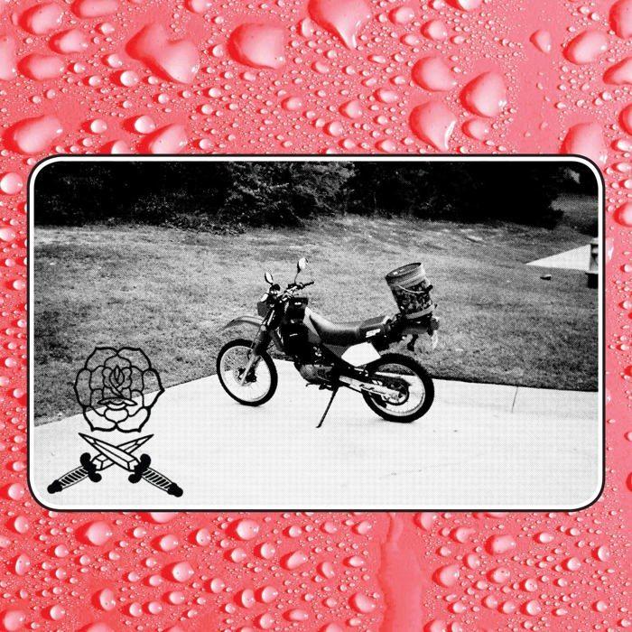 Vinyle Pop Rock - Vinyle Rock Inde Fat Possum Say I Won't