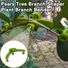 10Pcs Adjustable Plant Branch Bending Holder Flowers Fruit Tree Branch Pulling Shaping Device Plant Branch Bender Weather Resistant Bonsai Tool