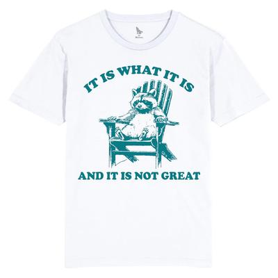 Funny Raccoon Meme T-Shirt: Chillin' Cartoon Tee