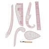 7 Stück Französische Kurvenlineale Transparentes PVC CM MM Hohe Genauigkeit Langlebiges Nählineal-Set für DIY