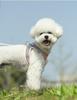 Breathable Vest-Style Pet Harness & Leash for Small Dogs & Cats