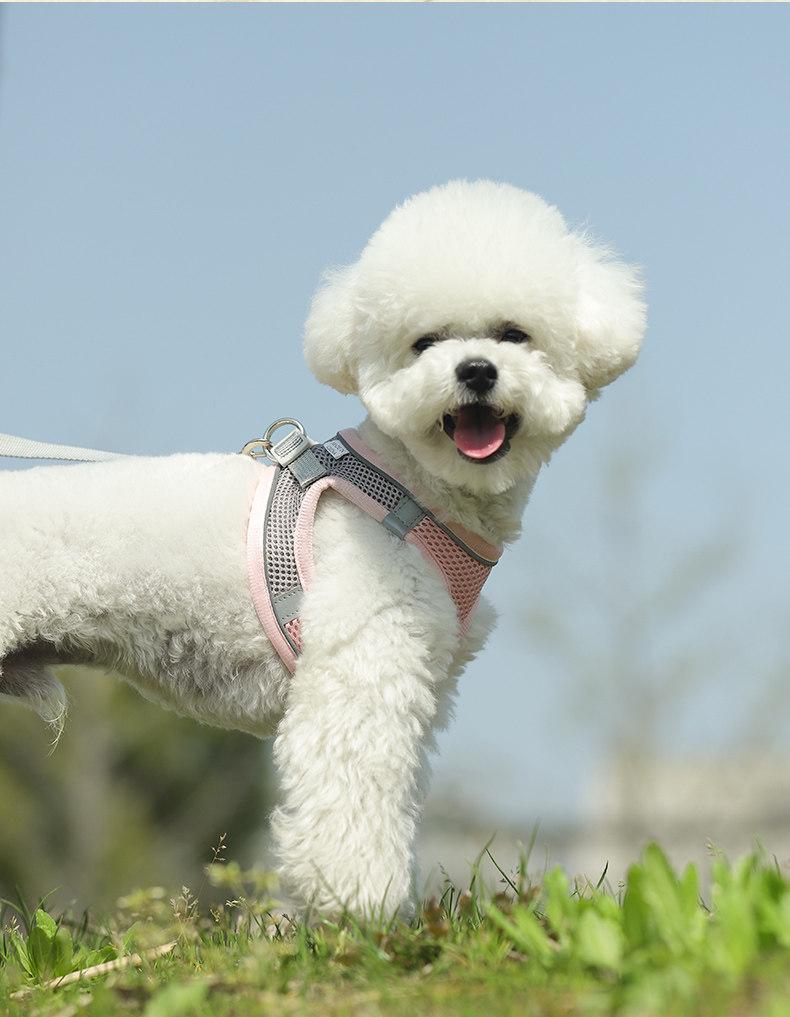 Breathable Vest-Style Pet Harness & Leash for Small Dogs & Cats