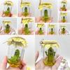 Delightful Grumpy Pickle In A Jar Sculpture Playful Cartoon Art For Birthday And Holiday Gifts