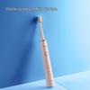 Adult Electric Toothbrush CN Plug (adapter Included)